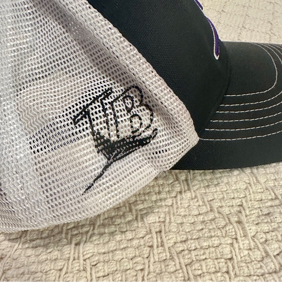 Tampa Bay Rays SnapBack Hat - Picture 2 of 8